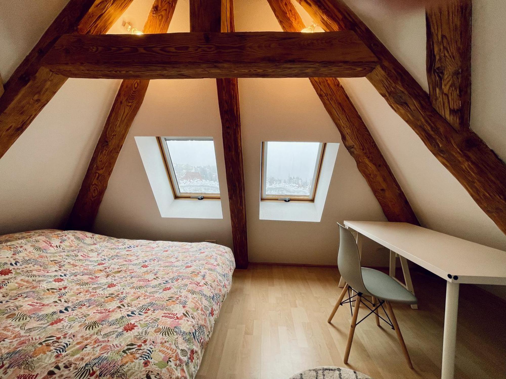 Duplex + Parking Gratuit Facile Lägenhet Sainte-Suzanne  Exteriör bild
