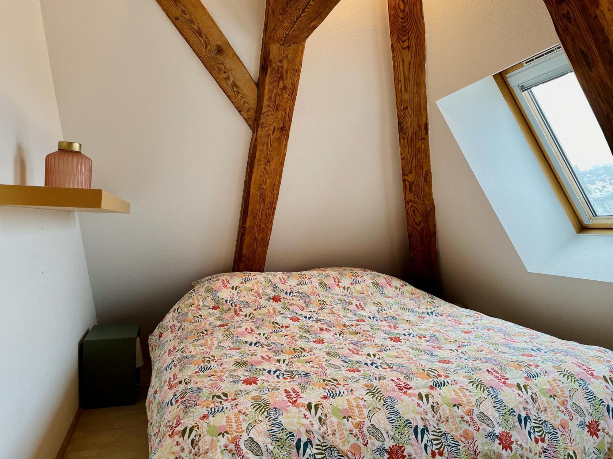 Duplex + Parking Gratuit Facile Lägenhet Sainte-Suzanne  Exteriör bild